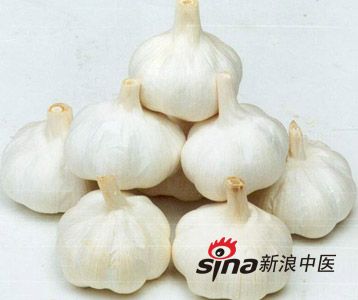 春天适合女人的十大滋补食物