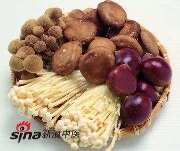 春天适合女人的十大滋补食物