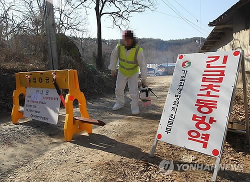 韩国一养鸡场出现禽流感阳性反应