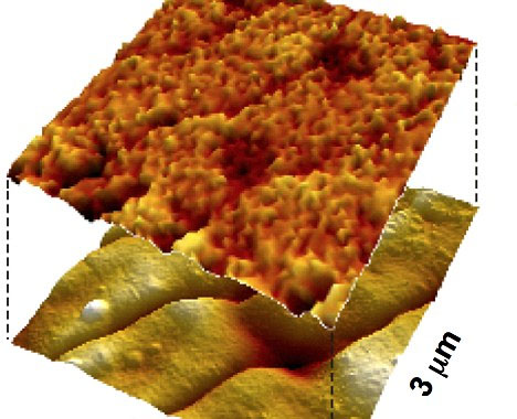 美科学家欲用病毒研制发电鞋 未来有望边走路