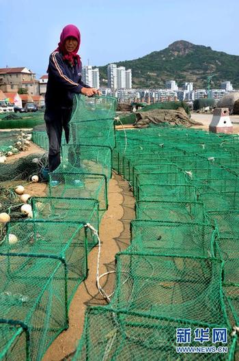 我国东海区5万多艘渔船今日起全面休渔