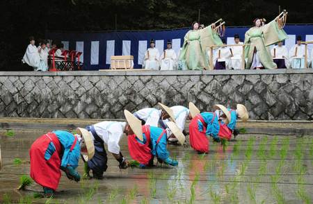 日本举行田植祭祈求丰收 神乐女持扇起舞