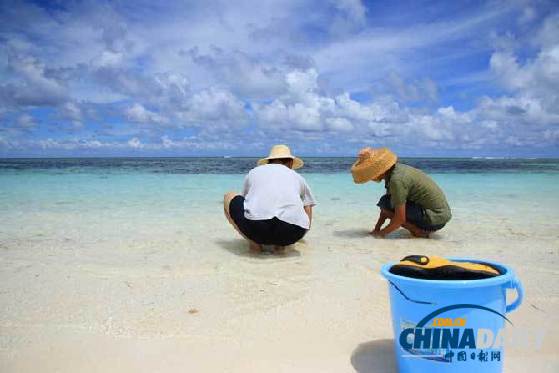西沙永兴岛风光