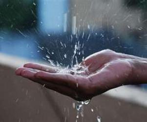收集雨水犯法！美国俄勒冈一男子被判入狱30天