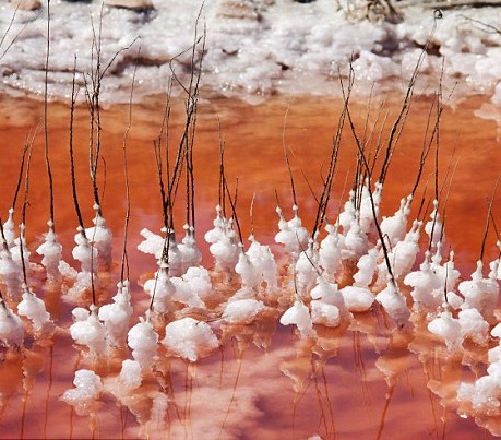 法国湖泊含盐过高变“血海” 罕见景致成热门观光地