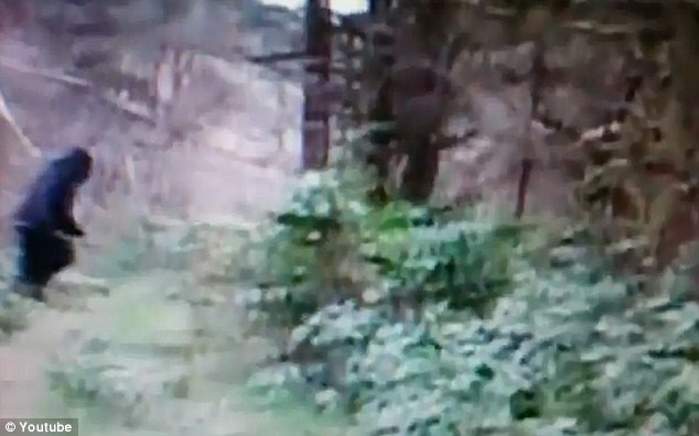 “大脚野人”出现在美国俄亥俄州？ 网上视频引热议