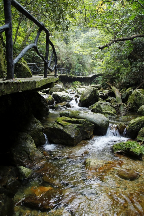 秋光里，穿越在黄山最原始的峡谷中“寻古探幽”