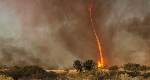 澳大利亚惊现30米高“火焰龙卷风” 持续40分钟