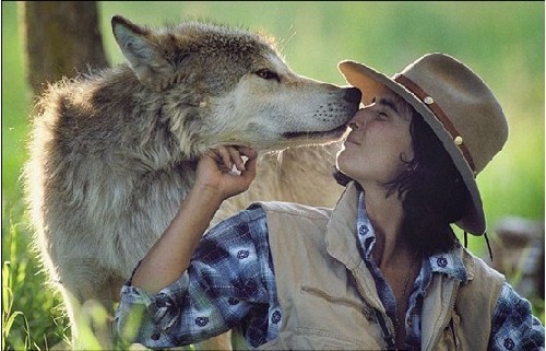 美国夫妇与狼群生活6年 拍到珍贵镜头已成亲密朋友