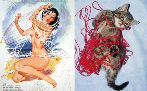 萌猫神似海报女郎 性感可爱惹人怜