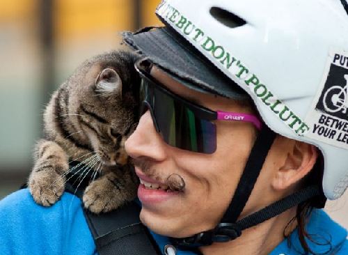 费城邮差演绎美版人猫情缘 送件路上猫咪伴肩