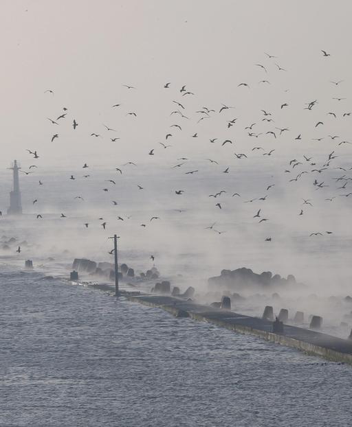 英媒：日本或面临“特大地震” 7号地震是前震