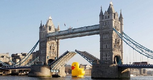 大鸭子“畅游”英国泰晤士河 只为博市民一笑(图)