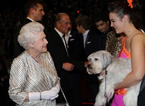 “英国达人”狗家族聚会 拥有中国血统曾为女王献舞