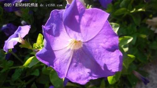 一秒变画板 尼康COOLPIX S6400评测