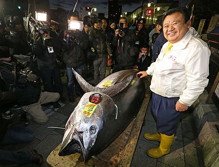 日本金枪鱼拍出1.5亿日元 再创价格新高
