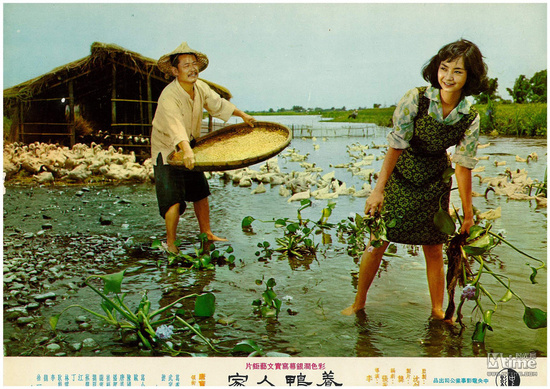 台湾电影的“纯美女神”