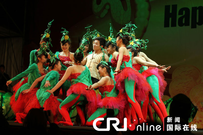 “欢乐春节”响彻罗马 焰火表演照亮斗兽场