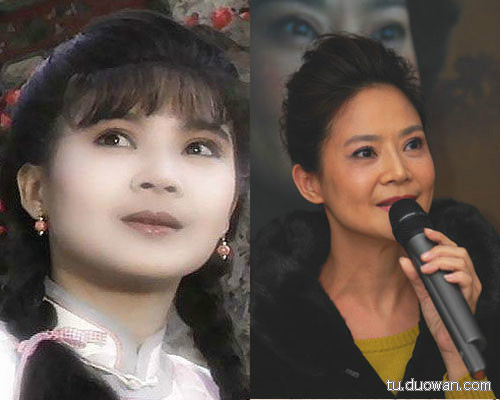 林心如赵薇王艳朱茵 昔日美艳琼瑶女星现状