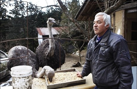 日本农民为照顾动物坚守核辐射区生命堪危+[1