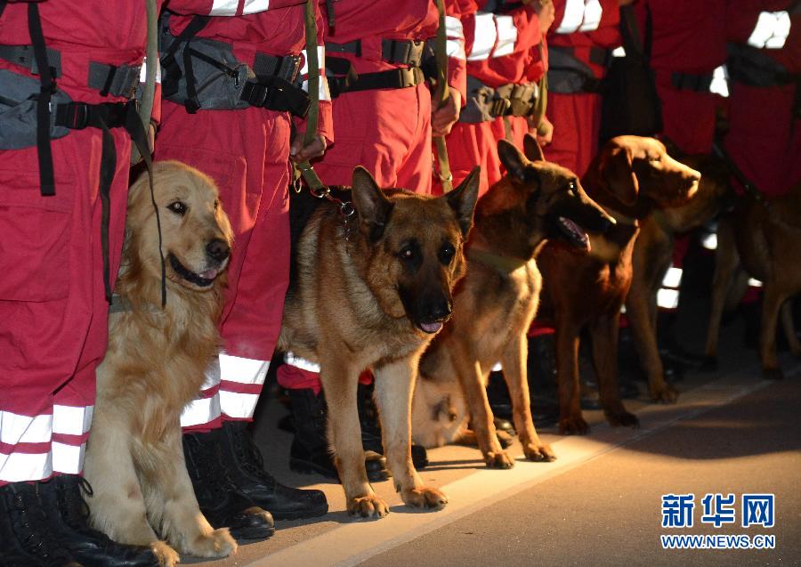 图集:灾难中那些让人安心的身影
