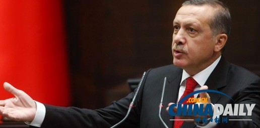 土耳其总理宣布动用更多警力应对示威者