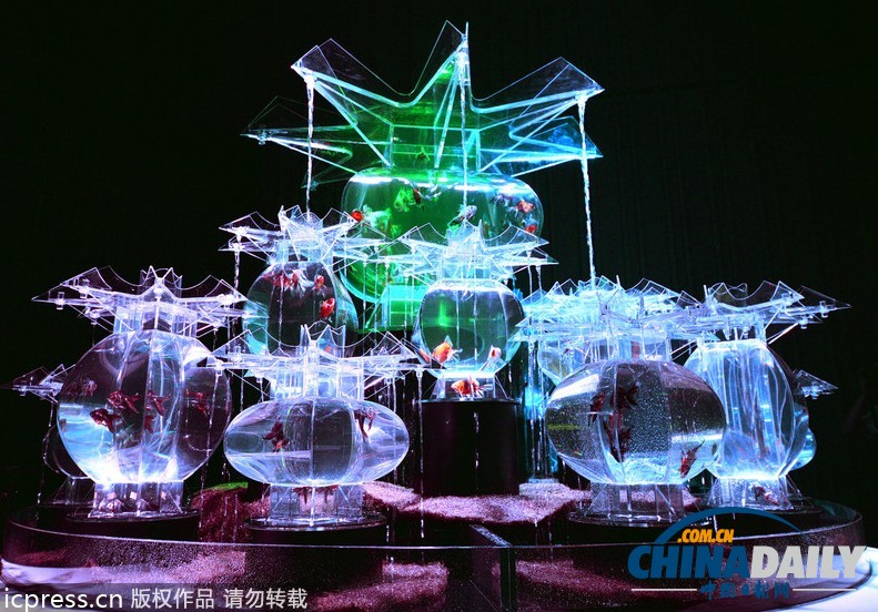 日本东京“艺术水族馆”展览开幕 展品精美别致