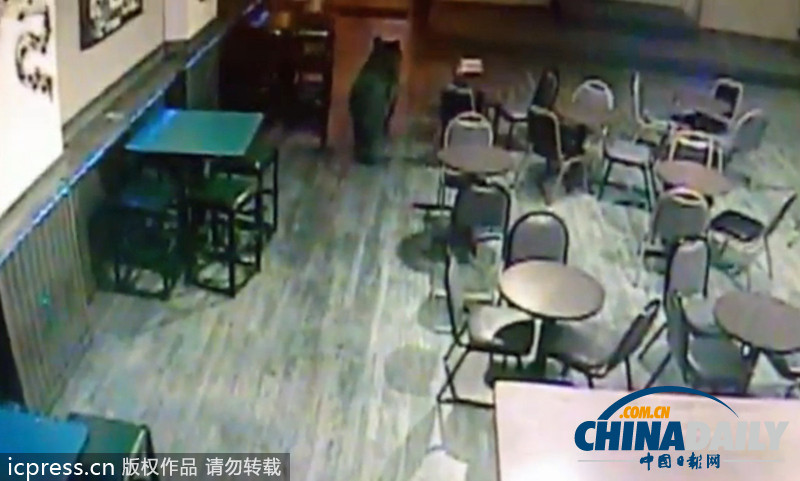 黑熊大摇大摆闯进美国酒吧 顾客竟全然不知