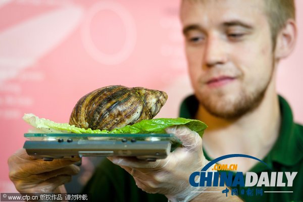 伦敦动物园年度大体检启动 各萌主乖乖“入瓮”(组图)