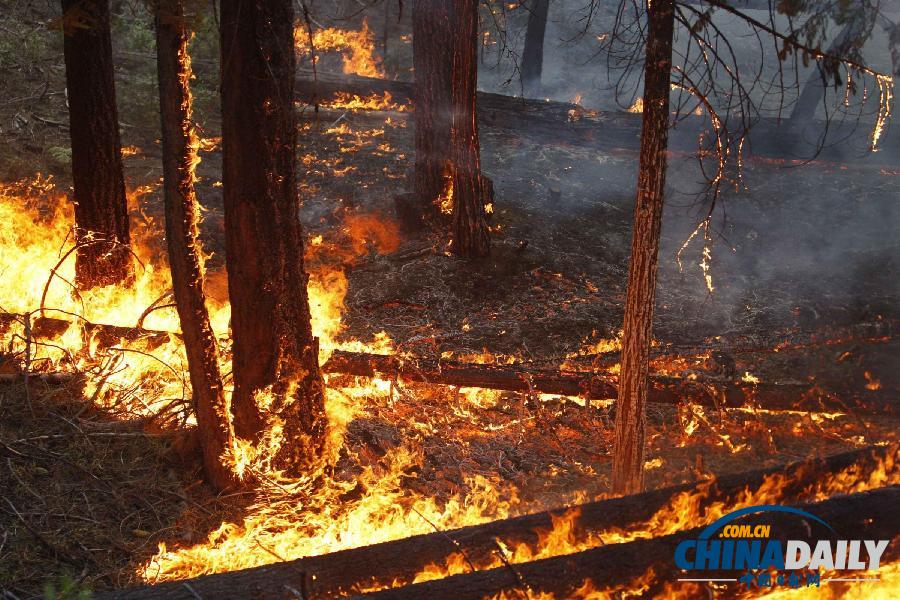 加州森林大火持续蔓延 旧金山水源遭到威胁(组