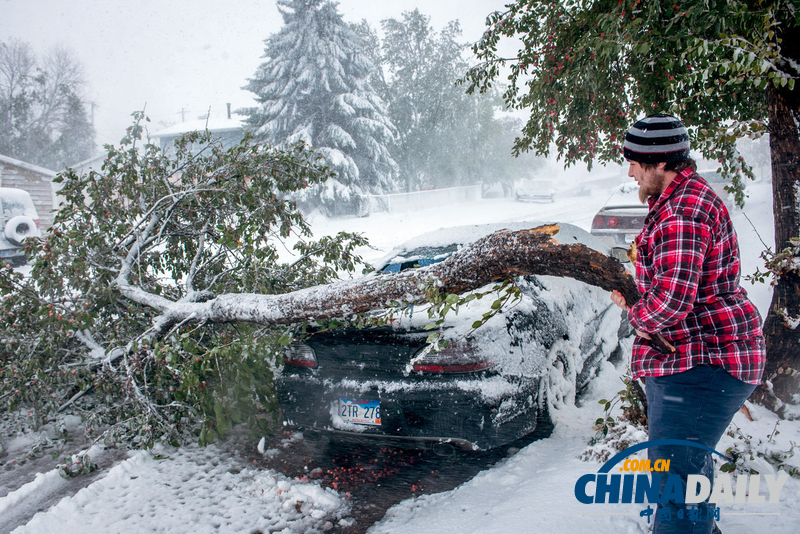 美中西部遭遇罕见暴风雪 积雪近尺林肯像被覆