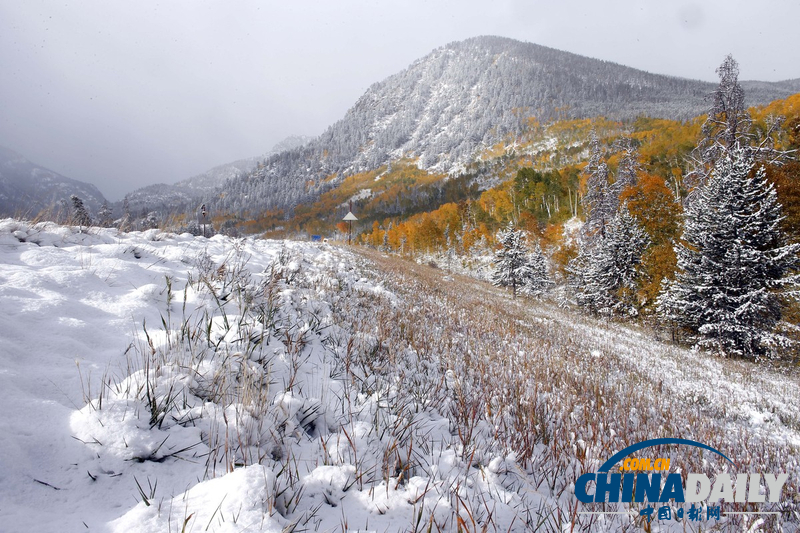 美中西部遭遇罕见暴风雪 积雪近尺林肯像被覆