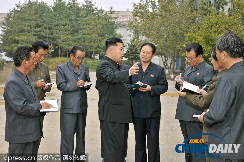 金正恩视察朝鲜人民军家畜育种场和日用品厂（图）