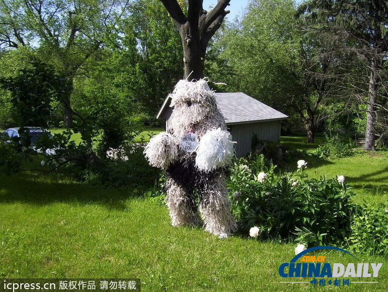 美国男子自认为狗 爱穿狗服上街闲逛