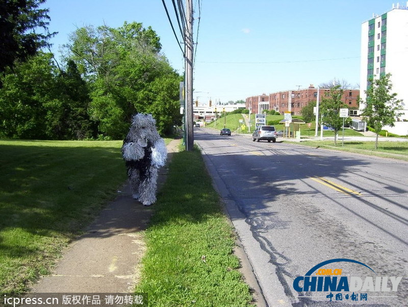 美国男子自认为狗 爱穿狗服上街闲逛