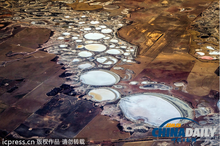 人类精子、上帝足迹 摄影师澳大利亚田野上空拍奇观