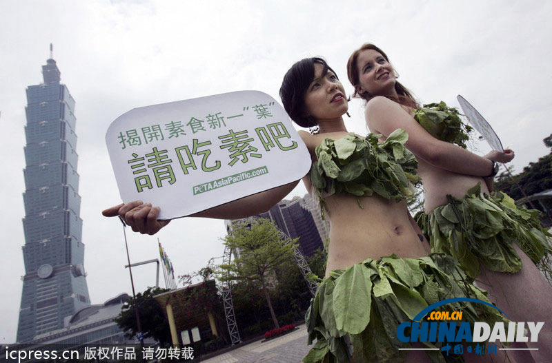 气质美女日看国际裸体无肉v气质素食美女迷人图片