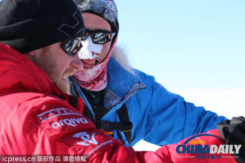 哈里王子向着南极前进 胡子浓密男人味十足
