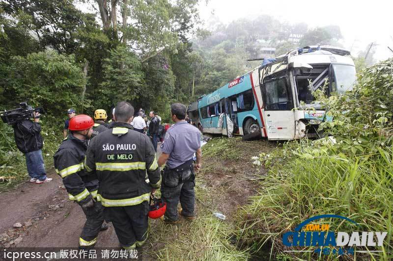 巴西一辆大巴坠入山谷至少14人死亡(图)