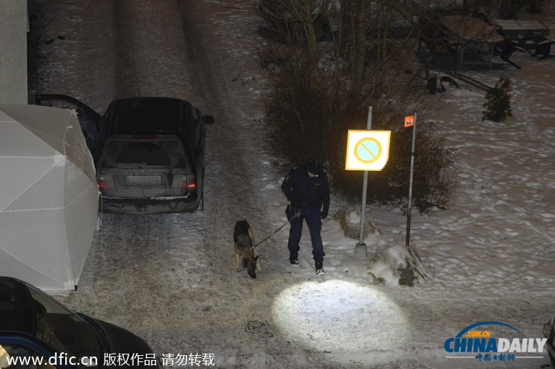瑞典黑帮头子家门口被枪杀 曾卷入瑞典国王性丑闻
