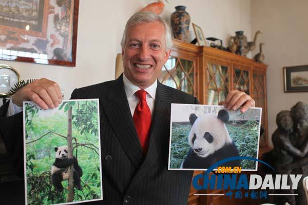 驻比大使廖力强宣布中国大熊猫将在二月底正式安家比利时