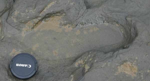 科学家发现非洲以外人类最古老的脚印遗迹