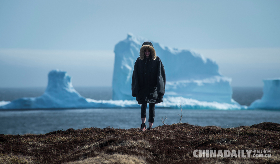 加拿大沿海小镇现巨大冰山 民众争相来“看山”