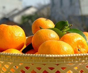 12种有毒水果 你一天吃进多少毒?
