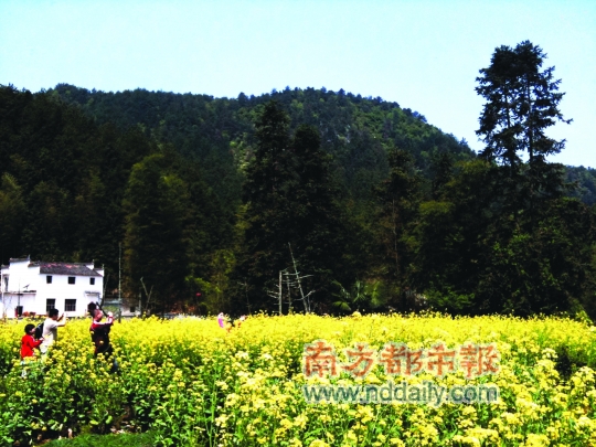 情人节私奔计划 让我们相依世界尽头
