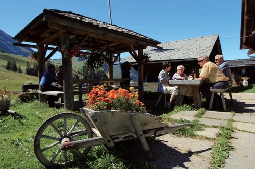 瑞士蒂姆蒂格谷:木屋穿花衣年年春天好风光