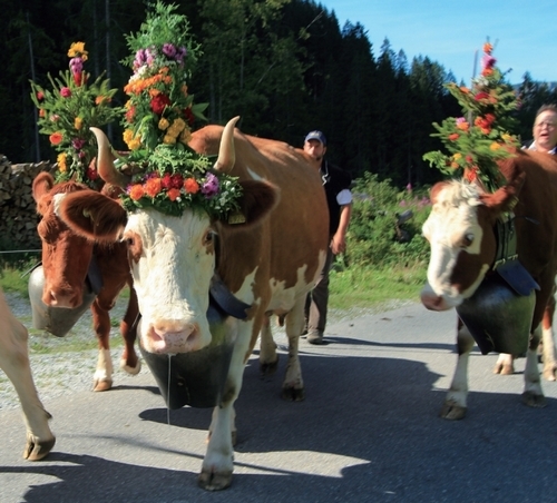 如今牛铃早已成了瑞士有名的旅游纪念品