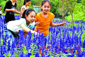 春天花会开 在花香中赏小城春天