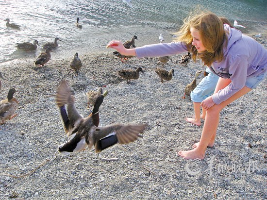 反季出游 去新西兰“呼吸”夏天