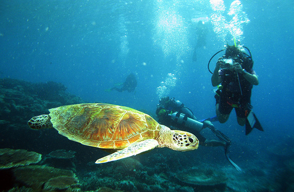 卡帕莱岛 住住没有沙滩的水上屋